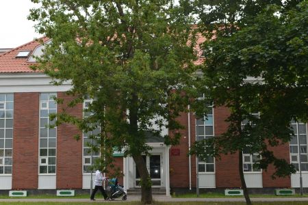 Внешний вид