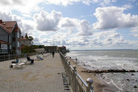 Внешний вид