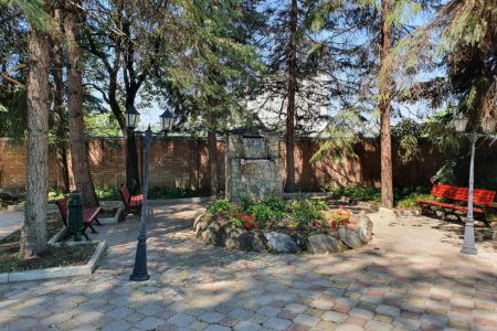 Внешний вид