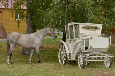 Территория