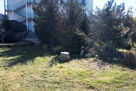 «Адель» гостевой дом_37