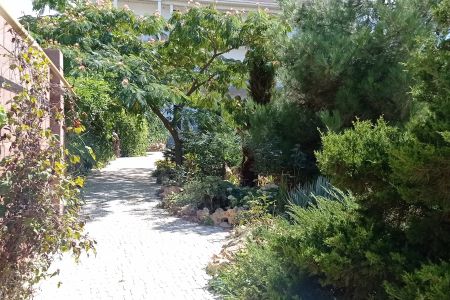 «Адель» гостевой дом_37