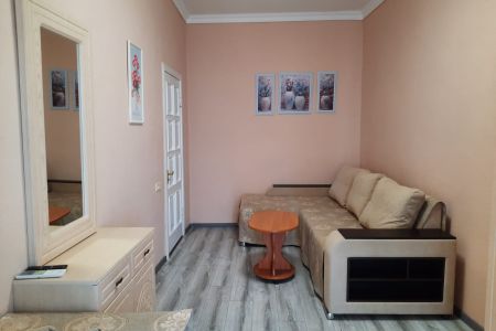 Номер № 9 4-местный (4)