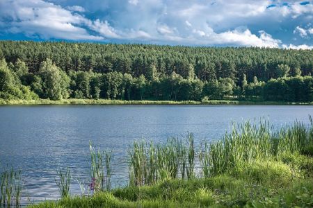 Внешний вид