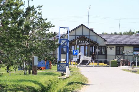 Внешний вид