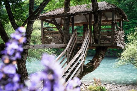 Территория