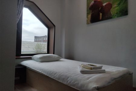 Стандартный 1-местный