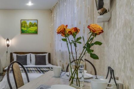 Апартаменты 3-местный 1-комнатный Гончар