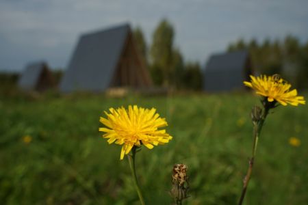 067151F6-14FF-4BBA-8556-CB650381047C