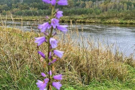 067151F6-14FF-4BBA-8556-CB650381047C