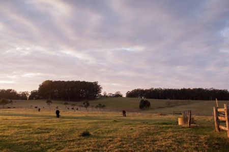 067151F6-14FF-4BBA-8556-CB650381047C