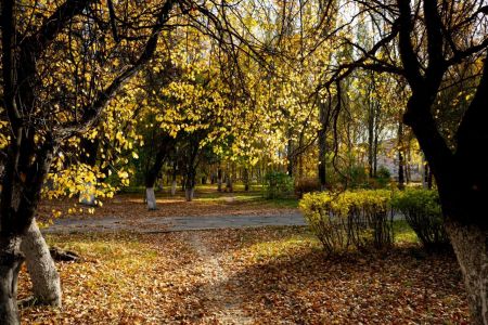 Внешний вид