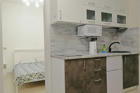 Апартаменты 4-местный Полулюкс (№3)