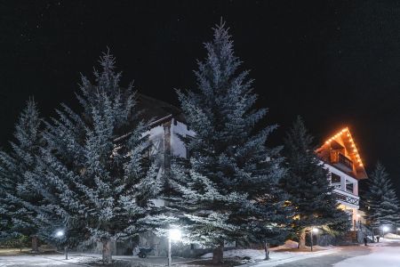 Внешний вид