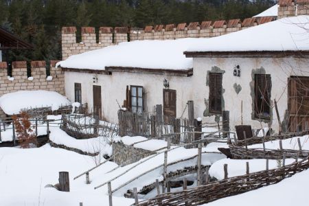 Внешний вид