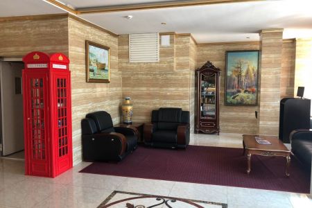 Внешний вид