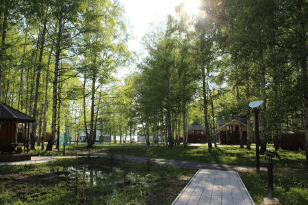 Территория