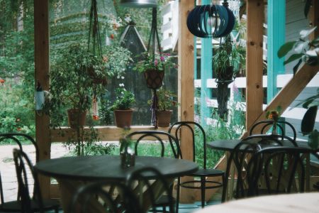 Внешний вид