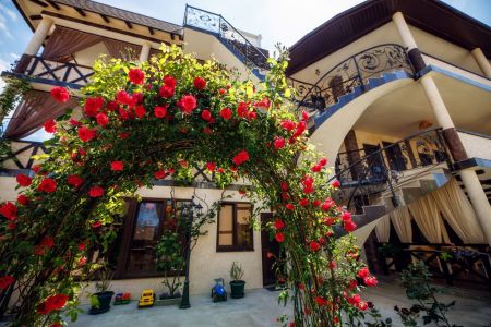 Внешний вид