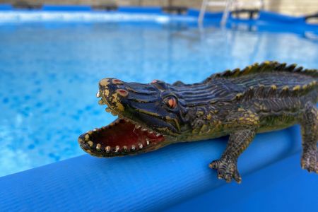 Стандартный 2-местный 1-комнатный