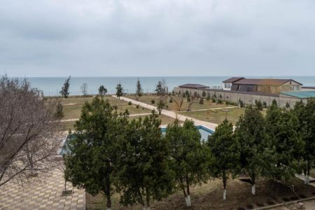 Внешний вид