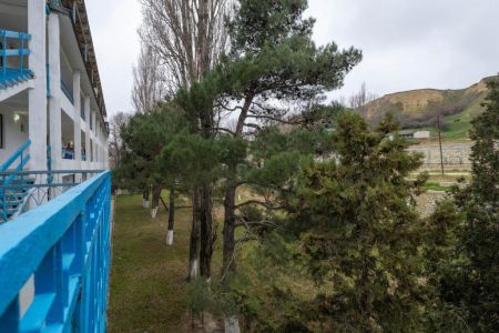 Внешний вид