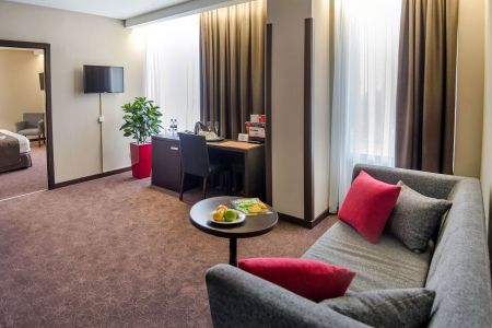 Бизнес твин