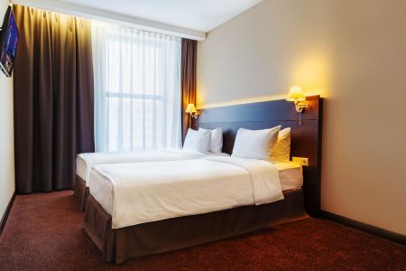 Бизнес твин