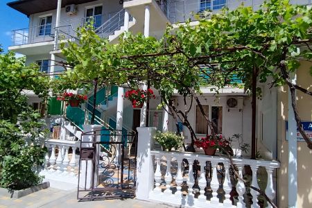 Внешний вид