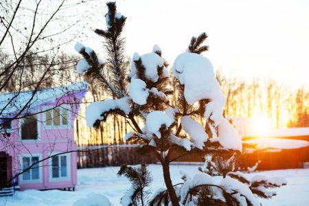 Территория