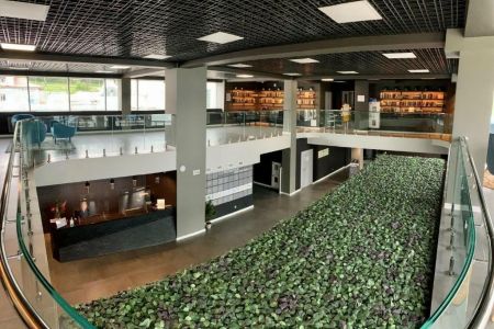 Внешний вид