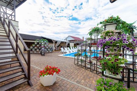 Внешний вид