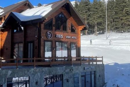 Внешний вид