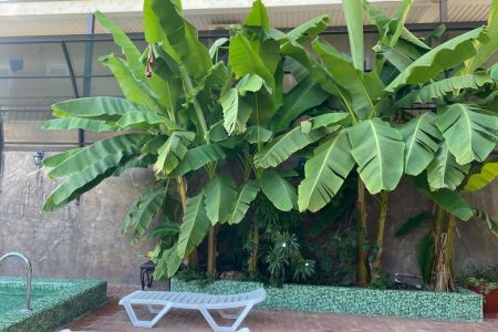 «Золотой Песок» гостевой дом_10