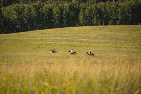 Тренажерный зал