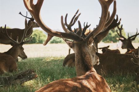 Тренажерный зал