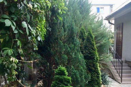 «Лагуна» гостевой дом