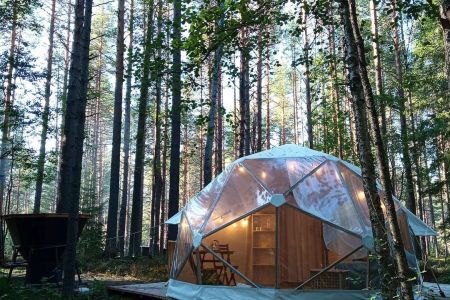 Внешний вид