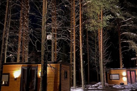 Внешний вид