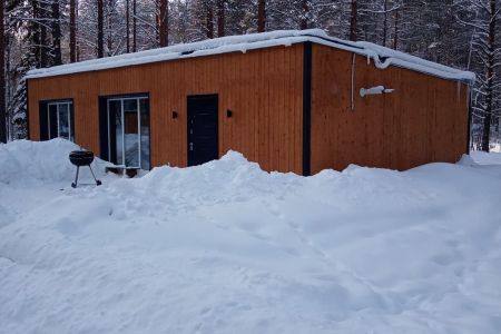 Внешний вид