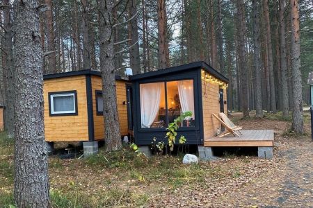 Внешний вид