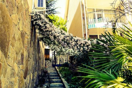 «Вилла Ренессанс» гостиница