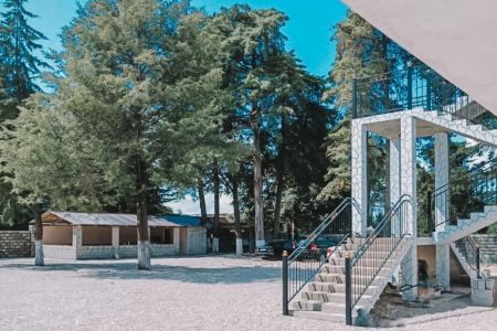 Внешний вид