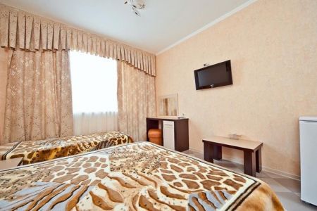 Однокомнатный трехместный "Люкс"