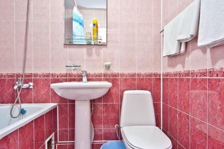 Однокомнатный трехместный "Люкс"