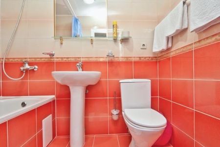 Однокомнатный трехместный "Люкс"