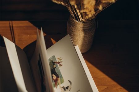 Дом 4-местный 3-комнатный (Mansion Duplex House)