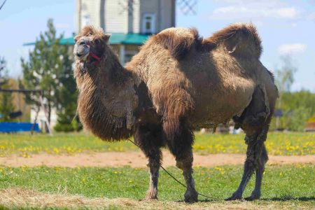 Территория