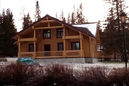 Внешний вид