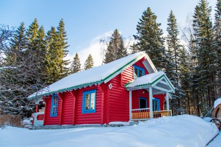 Внешний вид